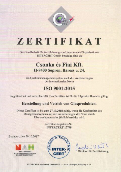 ISO9001 Zertifikat (2018-2021.)